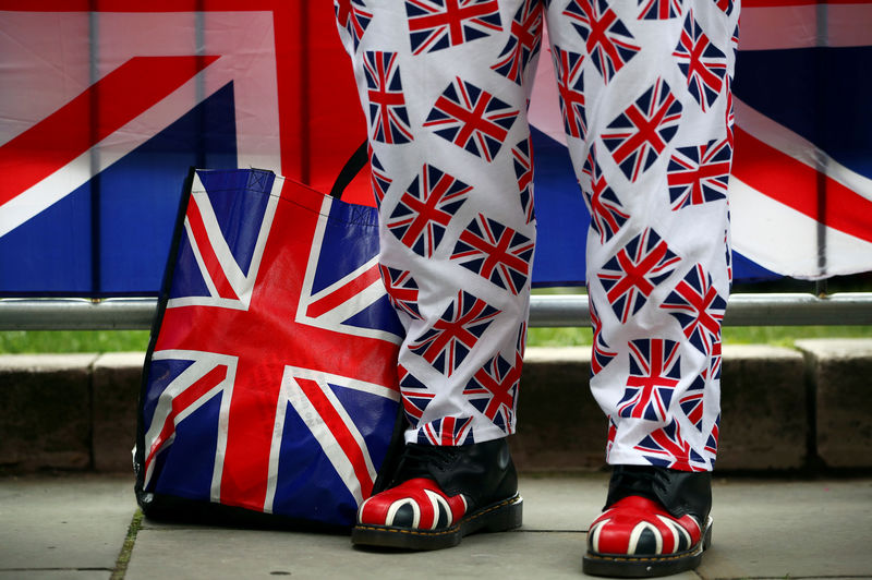 © Reuters. FILE PHOTO: A pro-Brexit protester stands outside the Houses of Parliament in London