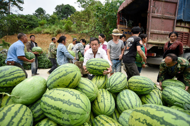 © Reuters. People load a truck with watermelons at a village in Qianxinan