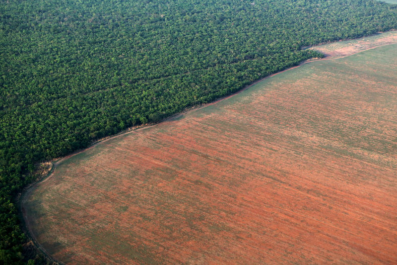 © Reuters. Trecho desmatado da floresta amazônica em Mato Grosso