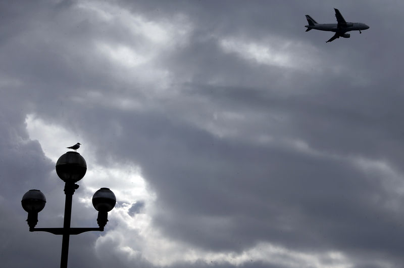 © Reuters. A seagull stands on a street lamp while a passenger plane prepares to land in Nice