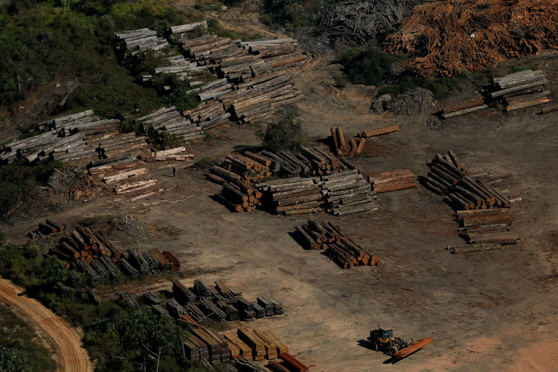 © Reuters. Imagen de archivo de pilas de madera durante la "Operación Ola Verde" para combatir la tala ilegal en Apui