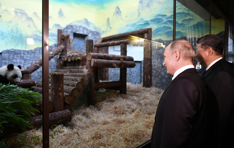 © Reuters. دبلوماسية الباندا الصينية ترسم ابتسامة على وجه بوتين