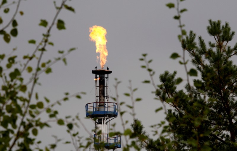 © Reuters. FILE PHOTO: A flame burning natural gas is seen at an oil refinery located on a branch of the Druzhba oil pipeline, which moves crude through the pipeline westwards to Europe, near Mozyr