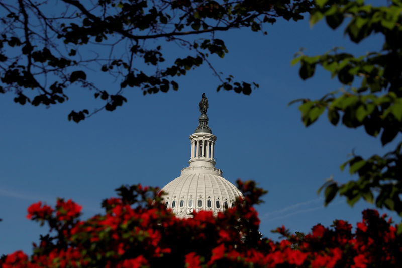 © Reuters. FILE PHOTO: The  U.S. Capitol building is seen through flowers in Washington