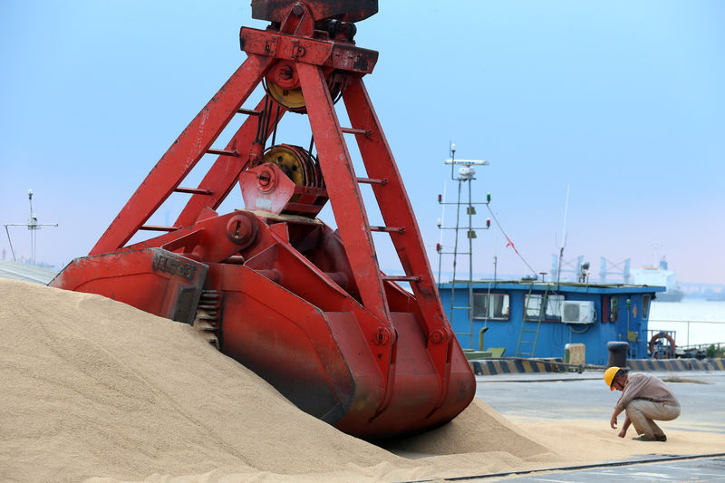 © Reuters. Imported soybeans are transported at a port in Nantong