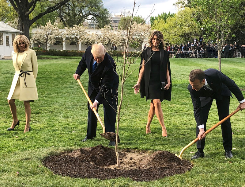 © Reuters. FILE PHOTO - U.S. President Trump and French President Macron shovel dirt as Brigitte Macron and first lady Melania Trump watch at the White House in Washington