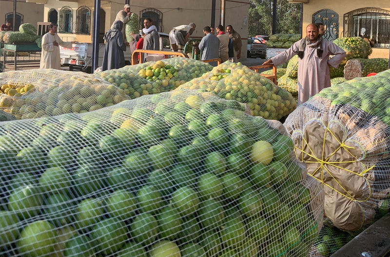 © Reuters. تحقيق-بعد وصوله إلى 100 جنيه للكيلو.. الليمون يكوي جيوب المصريين