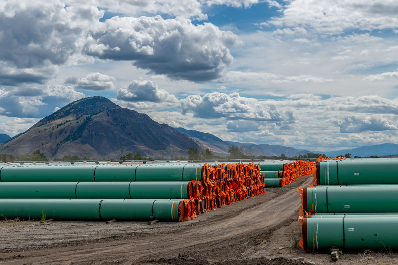 © Reuters. Steel pipe for Canadian government’s Trans Mountain Expansion Project lies at a stockpile site in Kamloops