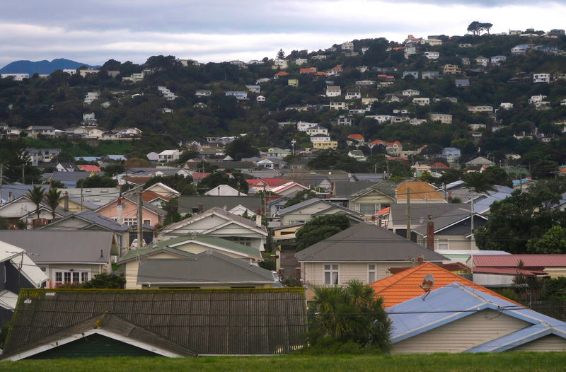 © Reuters. FILE PHOTO: Residential houses are seen in Wellington, New Zealand