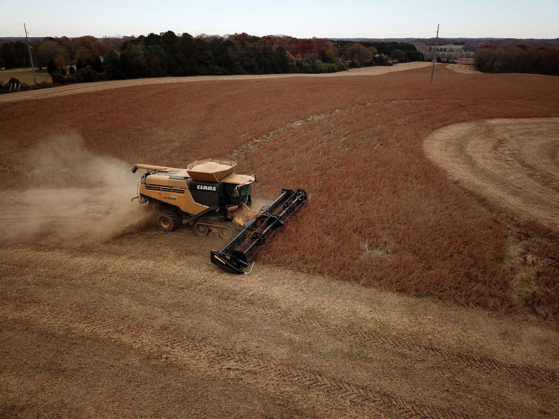 © Reuters. Fazendeiro colhe safra de soja em uma fazenda em Hickory