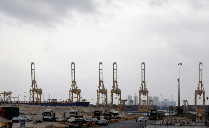 © Reuters. General view of the DP World port operator in Jebel Ali in Dubai