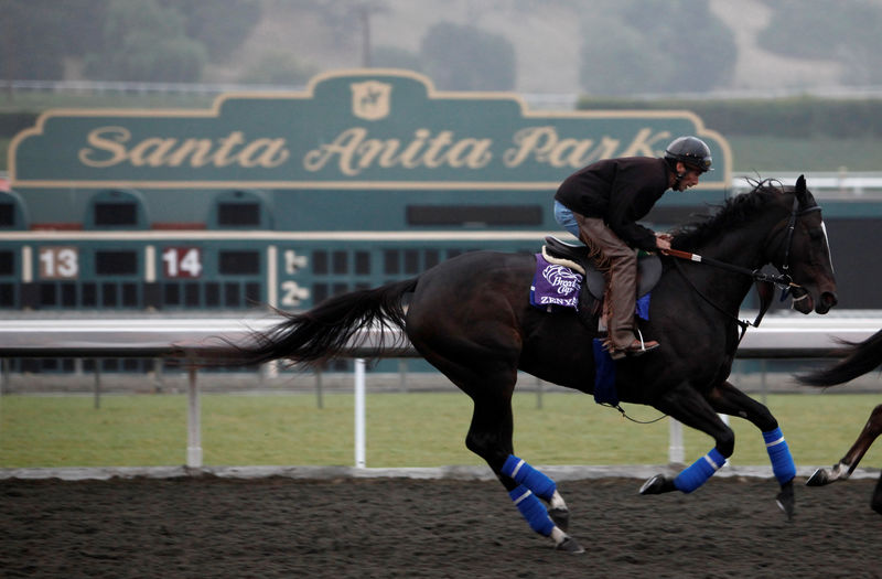 © Reuters. FILE PHOTO: Steve Willard rides horse Zenyatta on track during morning exercises in preparation for $5 million Breeders' Cup Classic at Santa Anita Park in Arcadia