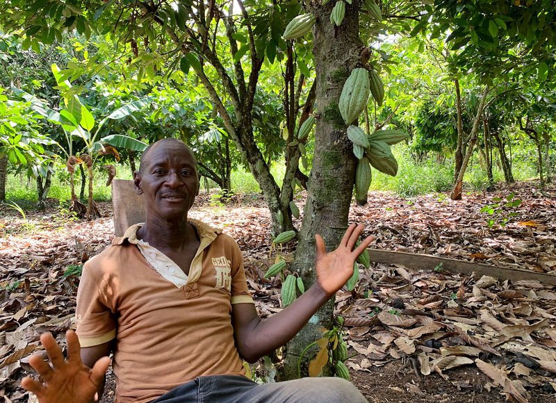 © Reuters. Ivorian cocoa farmer, N'Da Kouakou Kinimo, attends an interview with Reuters in his farm at the village of Edoukoukro