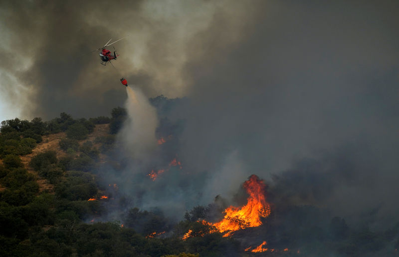 © Reuters. CANICULE: FEUX DE FORÊT ET COUPURES DE COURANT EN EUROPE