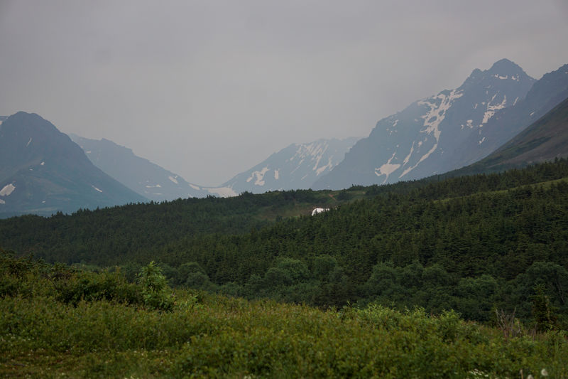 © Reuters. Una vista general del valle montañoso oscurecido por el humo tomado desde el sendero Glen Alps del Parque Estatal de Chugach en Anchorage, Alaska, EEUU, el 29 de junio de 2019. REUTERS/Yereth Rosen