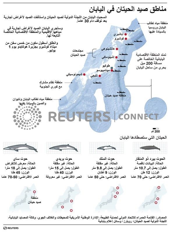 سفن تنطلق في أول رحلة تجارية لصيد الحيتان في اليابان منذ أكثر من 30 عاما