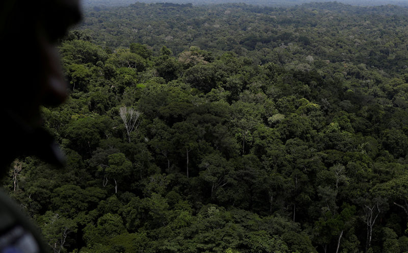 Procuradores britânicos processam fundador de firma de investimento ético na Amazônia