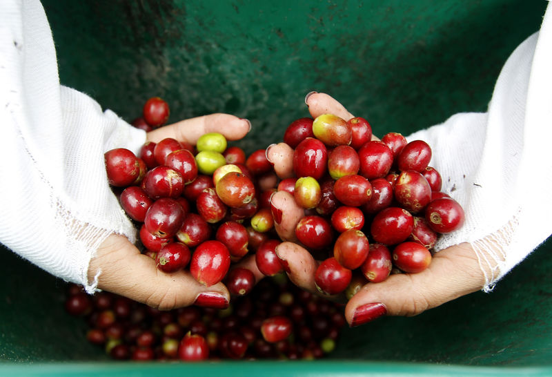 Colombia to create fund to rescue coffee farmers when prices drop
