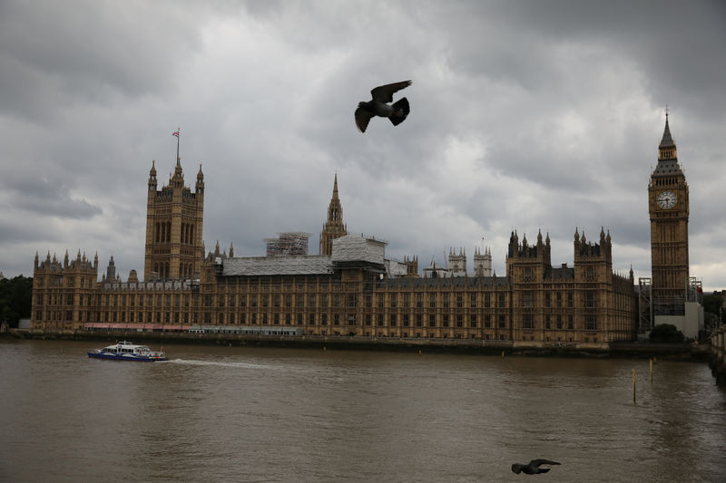 © Reuters. FILE PHOTO: Birds fly past the Houses of Parliament, in central, London
