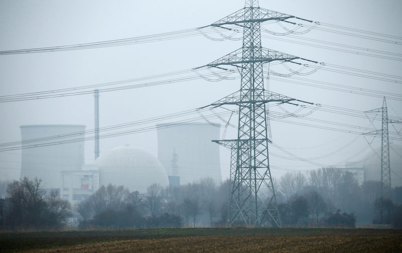 © Reuters. FILE PHOTO: General view of the nuclear power plant in Biblis near Frankfurt