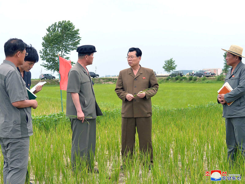 Desnutrição e doenças estão aumentando na Coreia do Norte, dizem ONGs