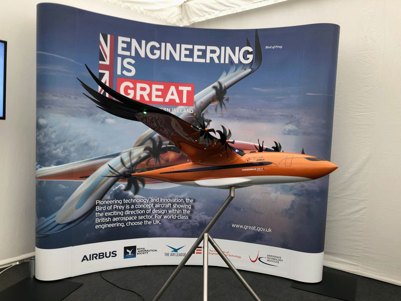 Airbus mimics nature with 'Bird of Prey' concept plane