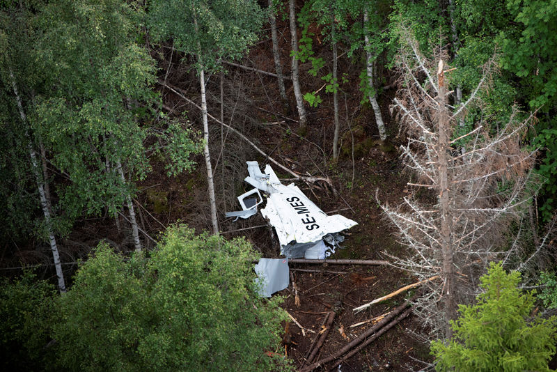 © Reuters. FILE PHOTO:  Wreckage of the skydiving aircraft lies in the wood on Storsandskar island in Ume river, outside Umea