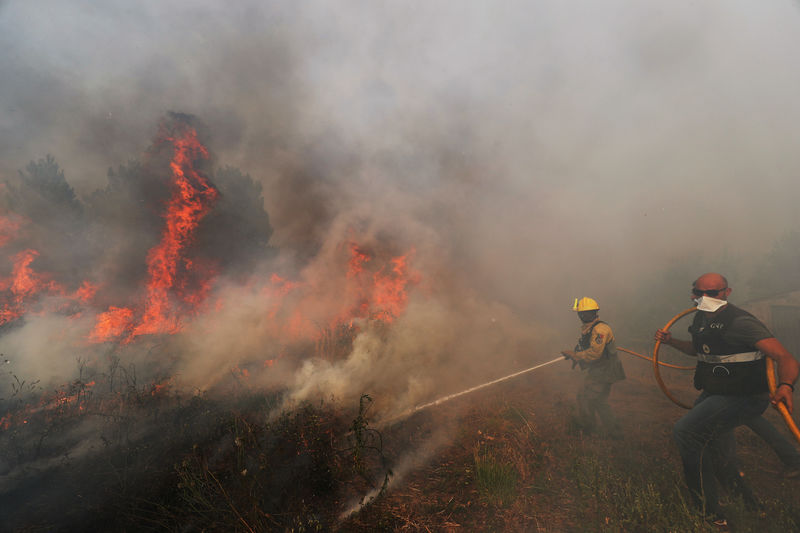 Violents feux de forêt dans le centre du Portugal