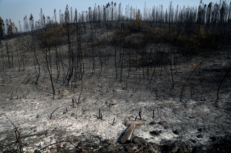 Portugal tem controle parcial de incêndios, mas clima preocupa