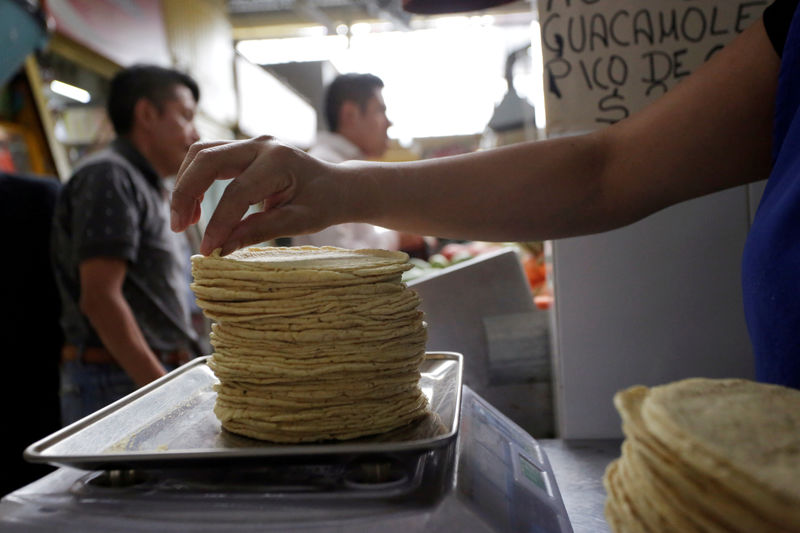 © Reuters. FILE PHOTO: An employee weighs a stack of freshly made corn tortillas at a tortilla factory in Mexico City