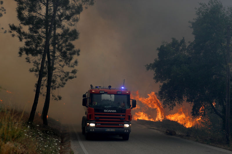 الرياح العاتية تعيد إشعال حرائق غابات في وسط البرتغال