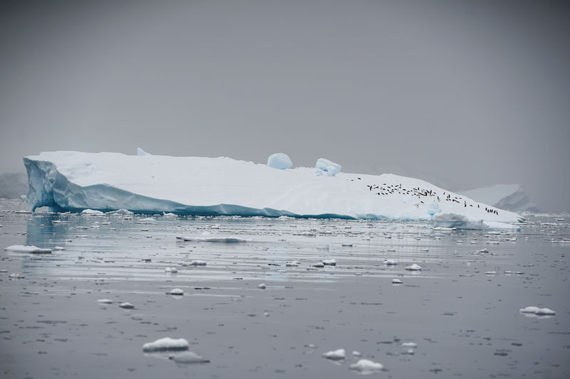 House Democrats unveil more 'realistic' climate change plan