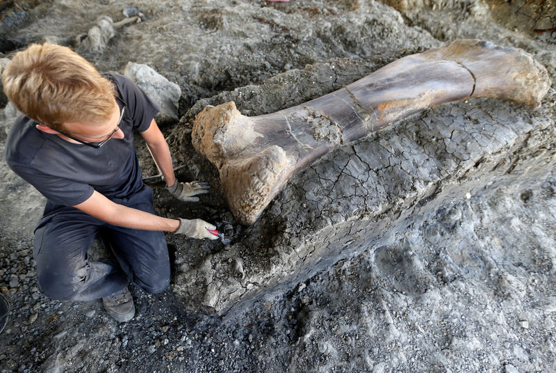 Encuentran un hueso de dinosaurio gigante en el suroeste de Francia