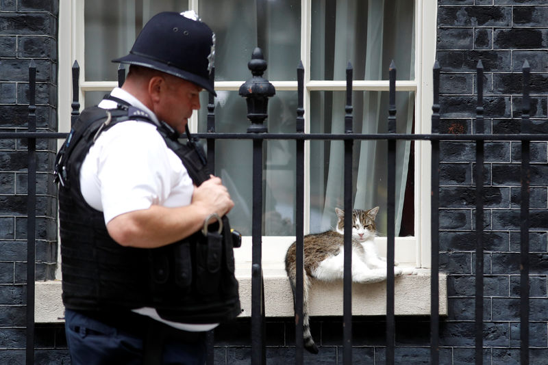 El primer ministro Boris Johnson analiza la nueva designación: un perro para Downing Street