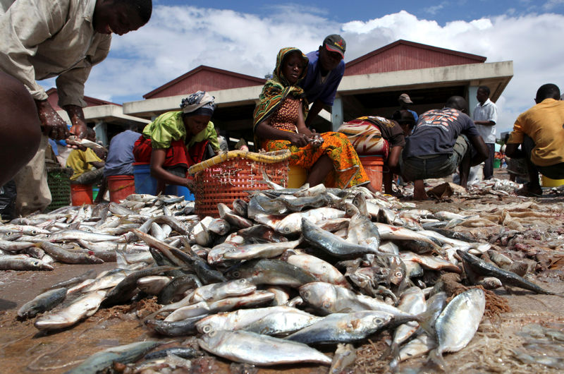 Tanzania's economic growth slows in first quarter as construction softens