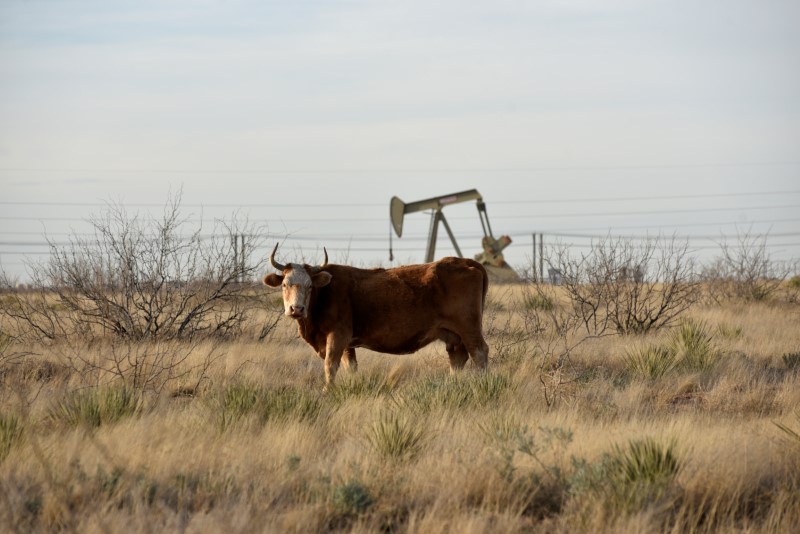 © Reuters. انتاج النفط الأمريكي ينخفض 26 ألف ب/ي في مايو إلى 12.11 مليون ب/ي