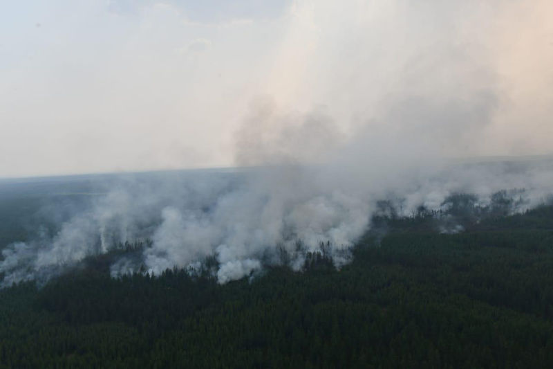 بوتين يأمر الجيش بالمساعدة في مكافحة حرائق الغابات في سيبيريا
