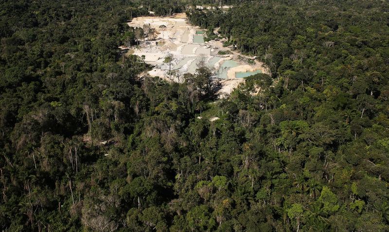 © Reuters. Área desmatada da floresta amazônica perto de Castelo dos Sonhos, no Pará