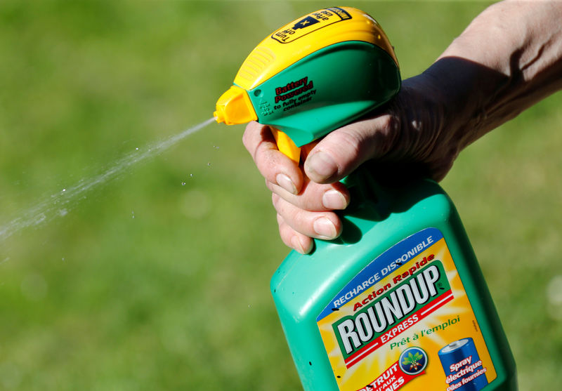 © Reuters. FILE PHOTO: A man uses a Monsanto's Roundup weedkiller spray containing glyphosate in a garden in Bordeaux