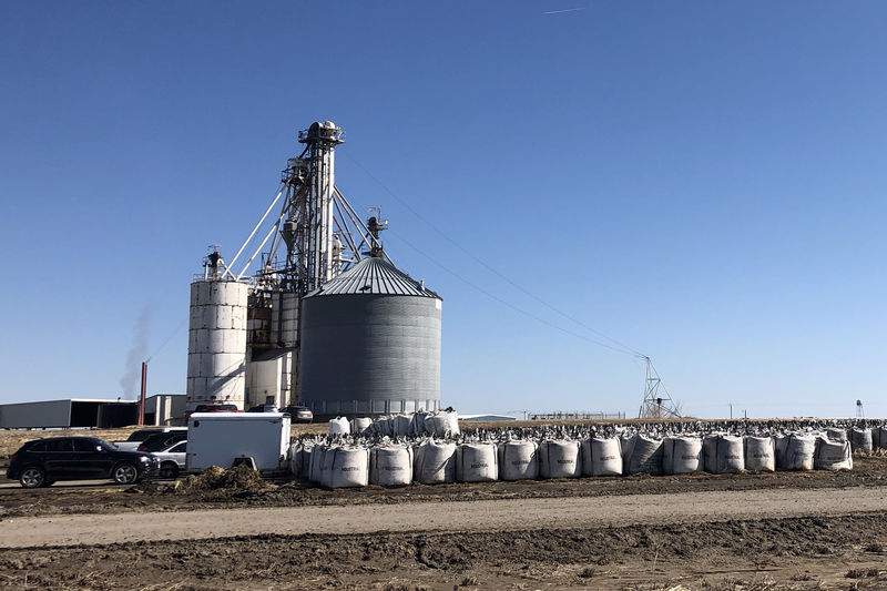© Reuters. FILE PHOTO: AltEn LLC ethanol plant in Mead Nebraska