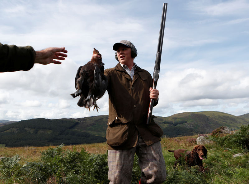 © Reuters. Members of a shooting party on the Rottal Moor on the opening day of the Grouse shooting season, Kirriemuir, Scotland