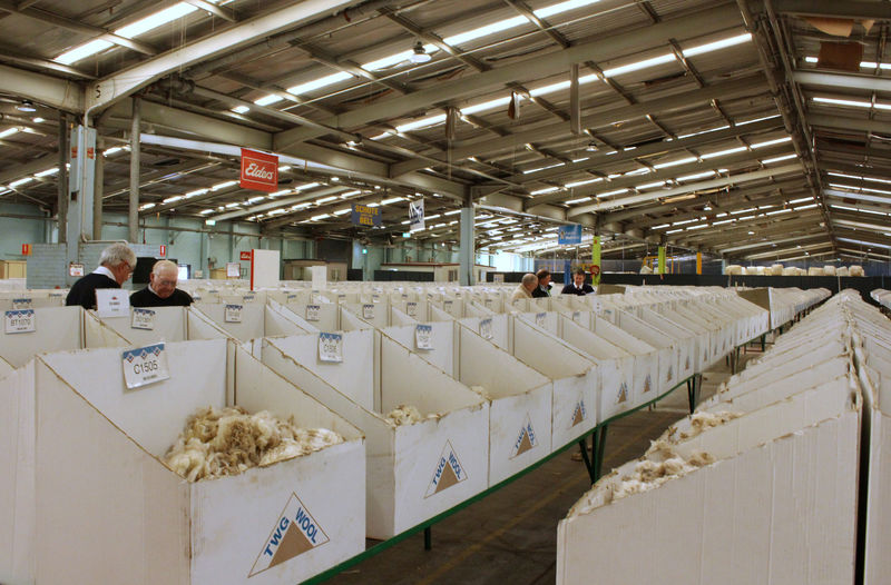 Not-so-golden fleece: Australian wool prices plunge amid Sino-U.S. trade war