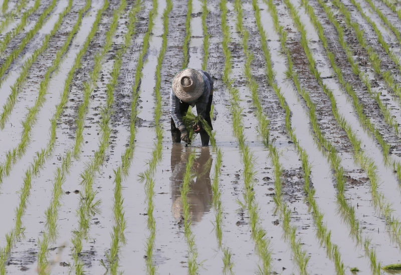 © Reuters. タイ、73億ドルの景気刺激策を計画　農業や観光業支援へ