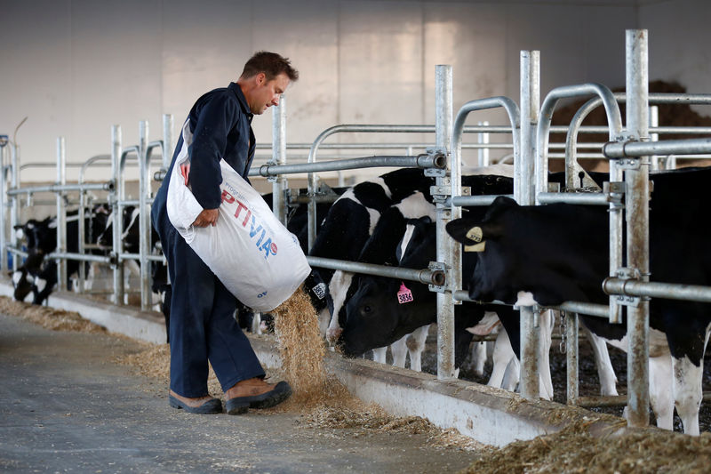Trudeau government to pay Canadian dairy farmers hurt by trade deals as election nears