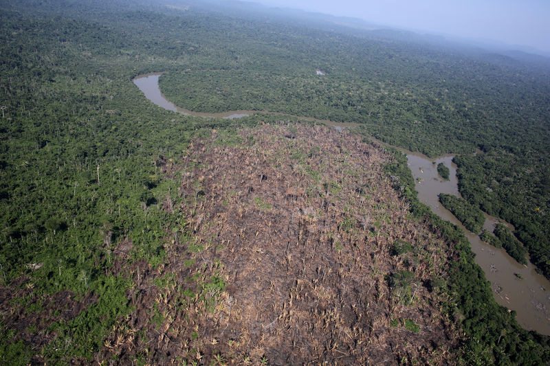 ANÁLISIS-El acuerdo Mercosur-UE, en riesgo por la deforestación en Brasil y las elecciones en Argentina