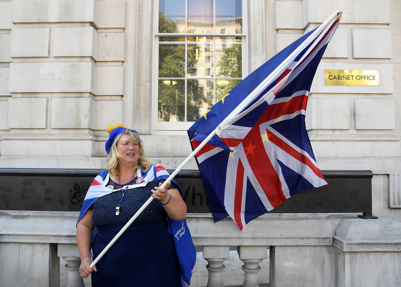 © Reuters. FILE PHOTO: An anti-Brexit protester is seen outside the Cabinet Office in London