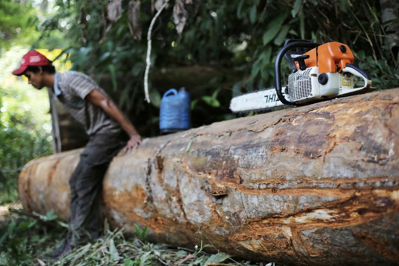 Brazilian states bypass Bolsonaro to discuss rainforest protection funding directly