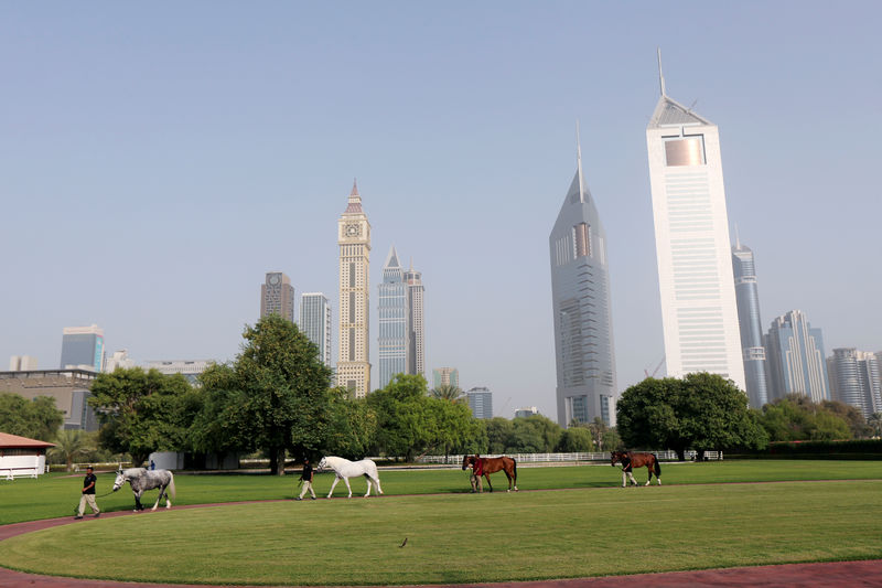 © Reuters. Dubai stables gives prize racehorses cryotherapy