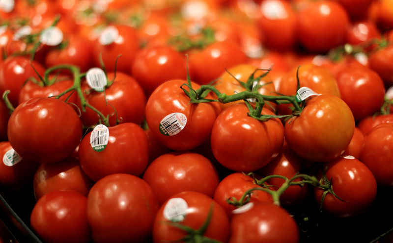© Reuters. FILE PHOTO: Vine ripened tomatoes are seen at the Safeway store in Wheaton Maryland