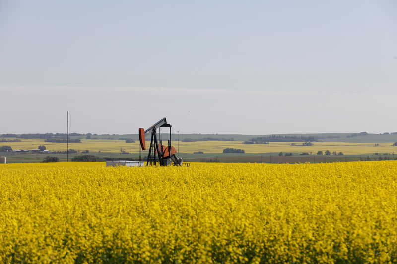 Alberta's smaller oil producers eye output boost after curbs lifted